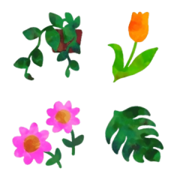 観葉植物や花&hearts;大人可愛いフレーム