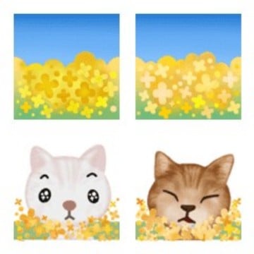 アンダーライン☆菜の花